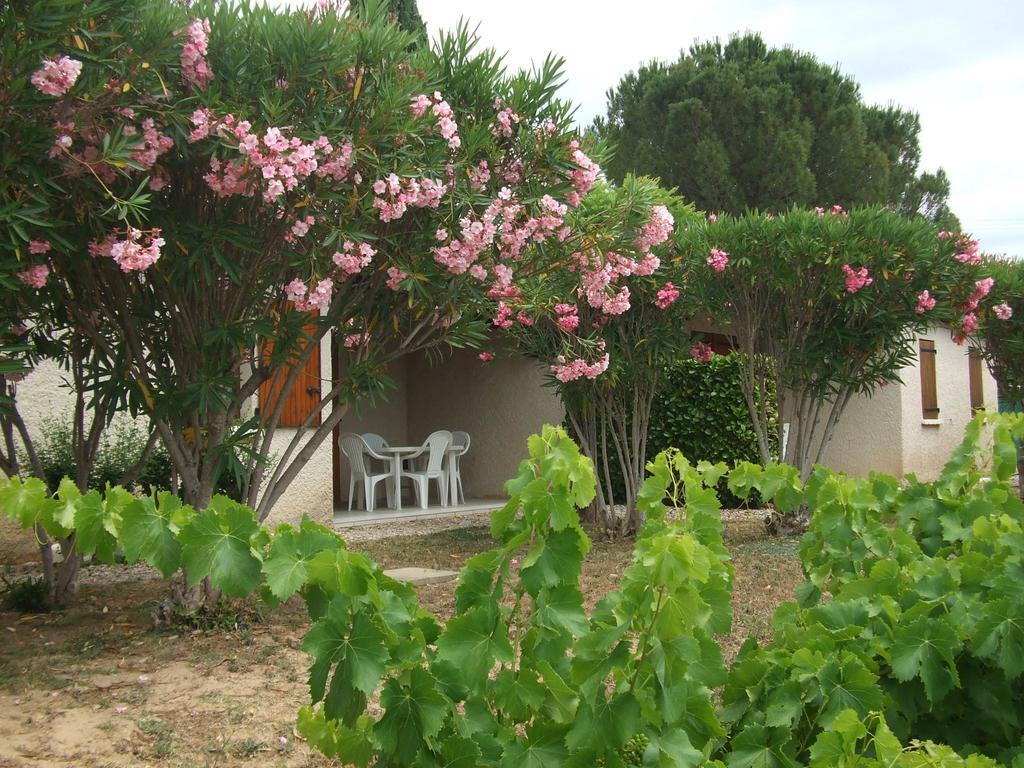 Espace Loisirs Hotel Saint-Martin-dʼArdèche Kültér fotó