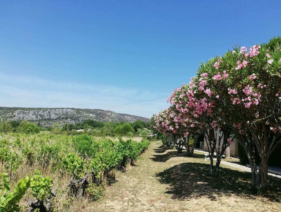 Espace Loisirs Hotel Saint-Martin-dʼArdèche Kültér fotó